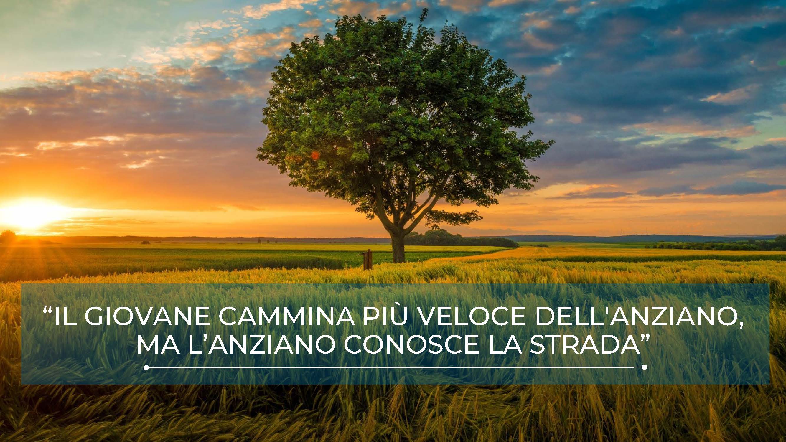 Disegno di Legge. Un albero per ogni centenario - Senatore Antonio De Poli 030524 (1)_Pagina_13