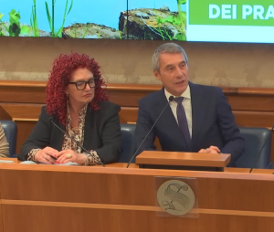de poli 2